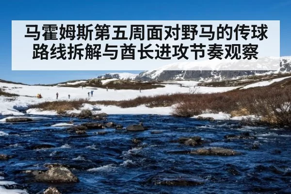 马霍姆斯第五周面对野马的传球路线拆解与酋长进攻节奏观察